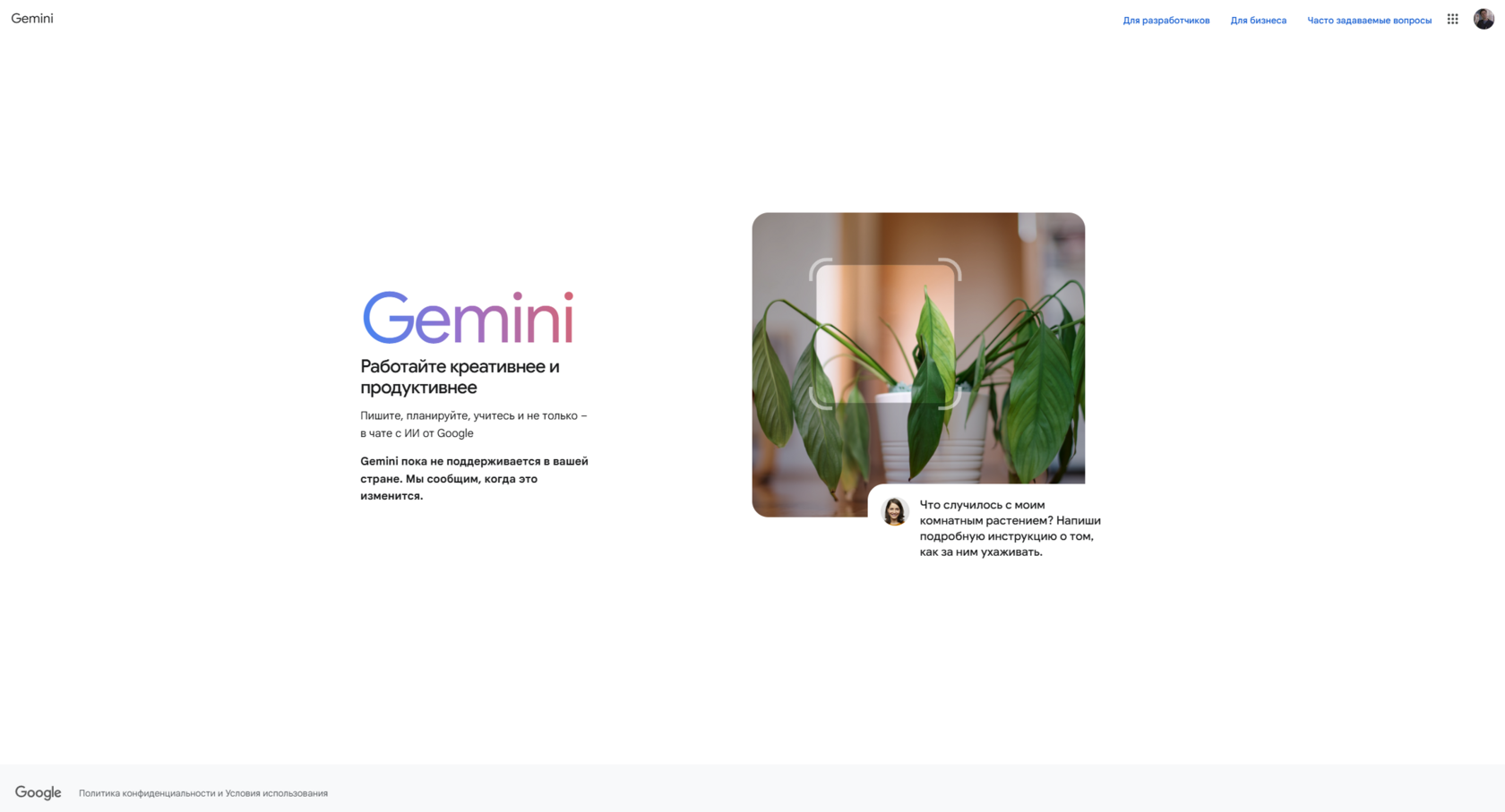 Gemini