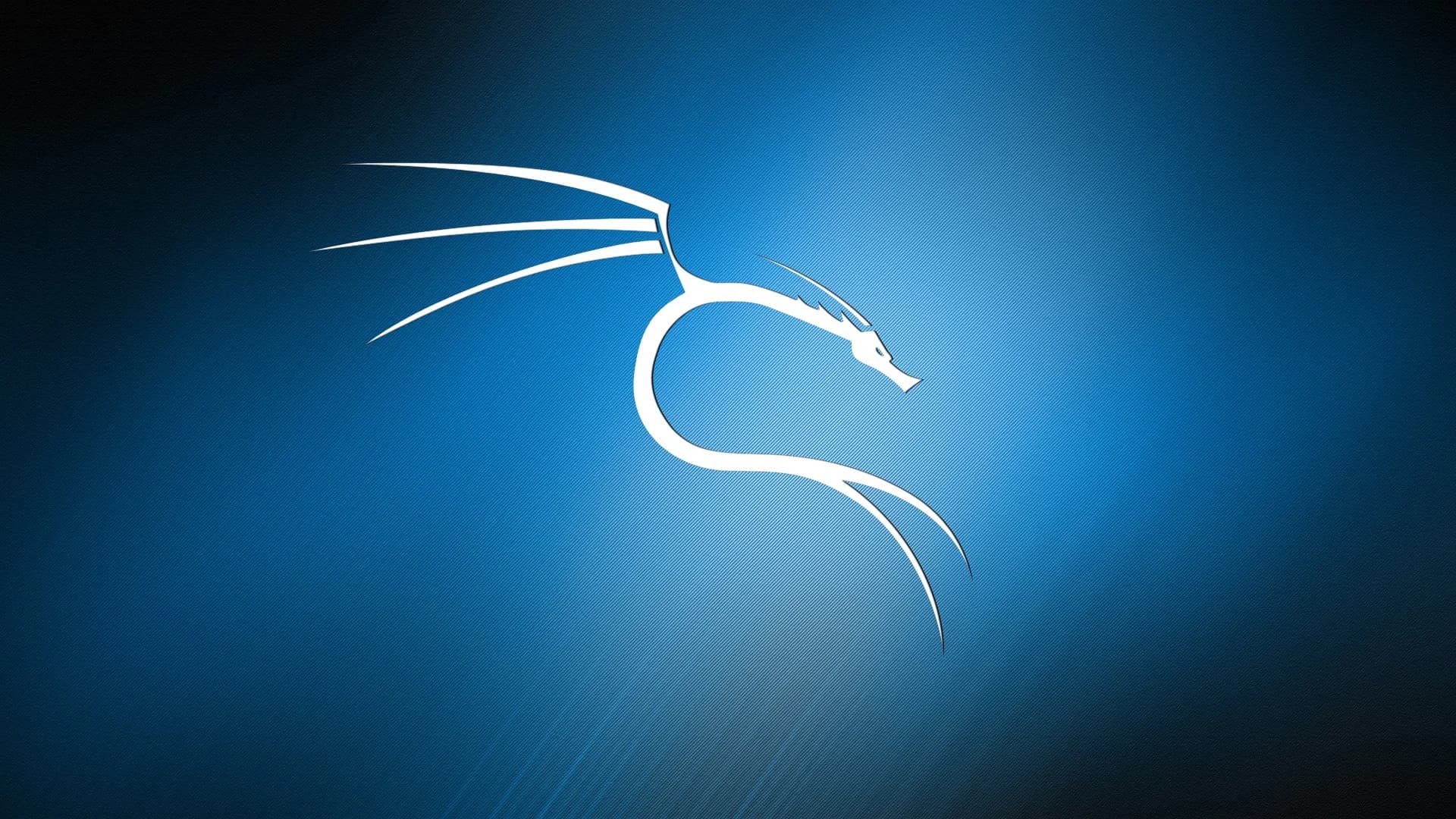 Дистрибутив Linux на основе Debian с открытым исходным кодом, предназначенный для расширенного тестирования на проникновение