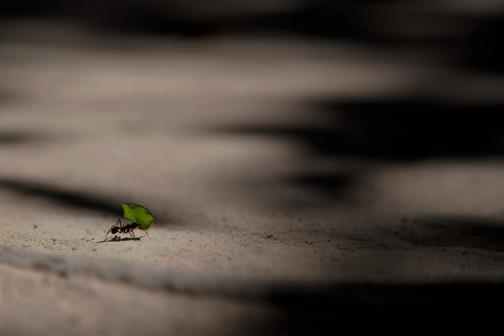 Инструменты, необходимые любому сммщику