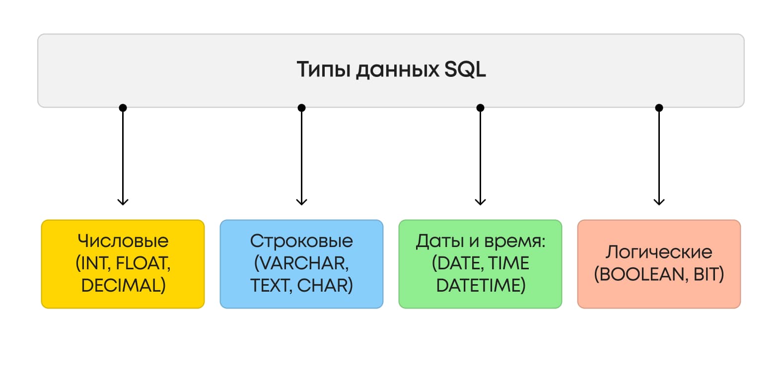 Классификация типов данных в SQL: числовые, строковые, даты и логические